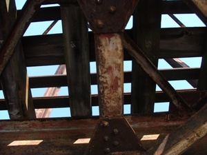 2011まるごと船13.jpg