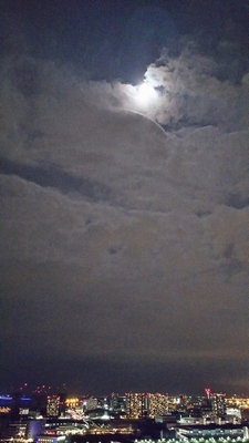 DSC_1209 (360x640).jpg