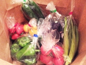 2015_0801夏野菜.jpg
