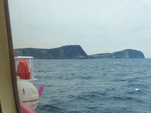 2017_0325大島.jpg