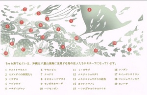 ちゅら海柄説明.jpg