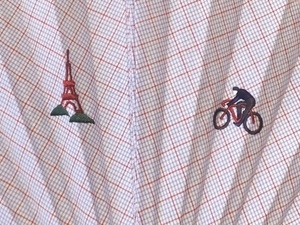 扇子サイクリングUPS.jpg