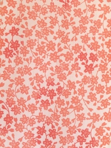 枝桜UPS.jpg