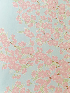 空に桜満開下S.jpg